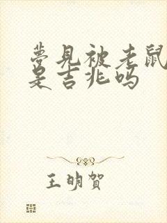 梦见被老鼠咬了是吉兆吗