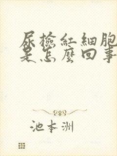 尿检红细胞2+是怎么回事