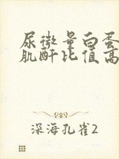 尿微量白蛋白与肌酐比值高