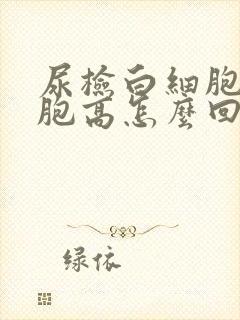 尿检白细胞红细胞高怎么回事