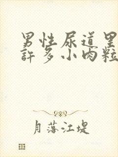 男性尿道里长了许多小肉粒