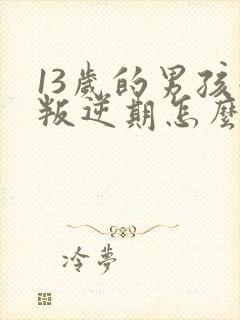 13岁的男孩子叛逆期怎么办