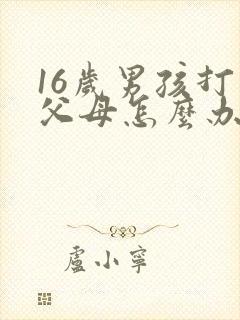 16岁男孩打骂父母怎么办