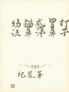 幼猫感冒打喷嚏流鼻涕鼻子呼哧呼哧的