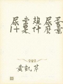 尿常规尿蛋白质1+是什么意思