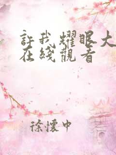 许我耀眼大结局在线观看