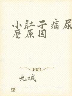 小肚子痛尿频什么原因