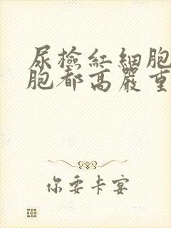 尿检红细胞白细胞都高严重吗