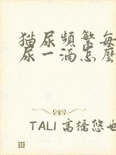 猫尿频繁每次只尿一滴怎么治疗吃什么药