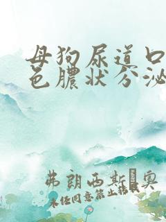 母狗尿道口有黄色脓状分泌物