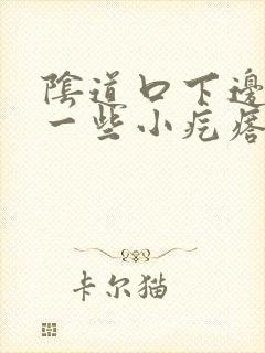 阴道口下边起了一些小疙瘩