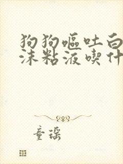 狗狗呕吐白色泡沫粘液吃什么药