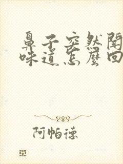 鼻子突然闻不到味道怎么回事