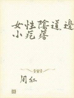 女性阴道边缘有小疙瘩