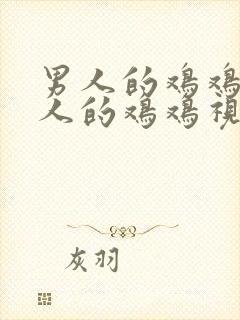 男人的鸡鸡插女人的鸡鸡视频