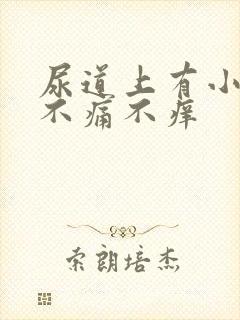 尿道上有小水泡不痛不痒