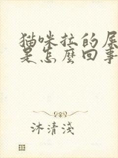 猫咪拉的屎很臭是怎么回事