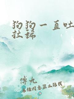 狗狗一直吐黄水拉稀