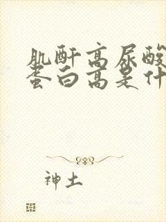 肌酐高尿酸高尿蛋白高是什么原因