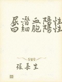 尿潜血阳性,尿白细胞阳性是咋回事