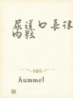 尿道口长很多小肉粒