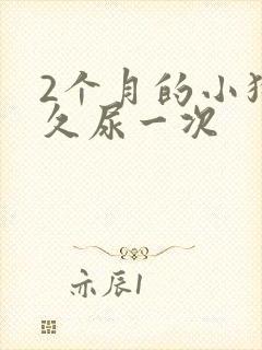 2个月的小狗多久尿一次