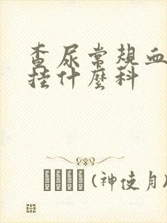 查尿常规血常规挂什么科