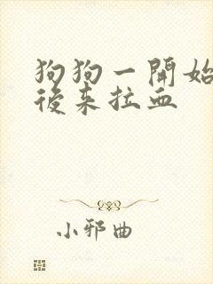 狗狗一开始拉稀后来拉血