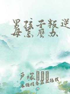 男孩子叛逆打父母怎么办