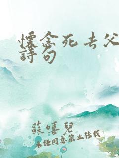 怀念死去父亲的诗句