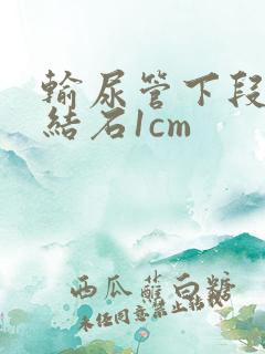 输尿管下段出现结石1cm