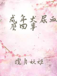 成年犬尿血是怎么回事