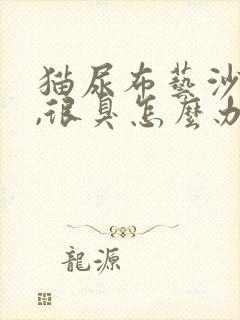 猫尿布艺沙发上,很臭怎么办?