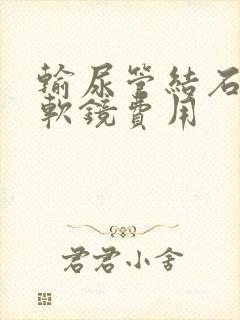 输尿管结石手术软镜费用