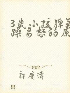 3岁小孩脾气暴躁易怒的原因