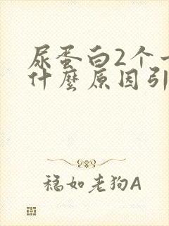 尿蛋白2个十是什么原因引起的