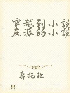 穿越到小说里当反派的小说