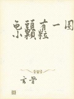 龟头有一圈白色小颗粒