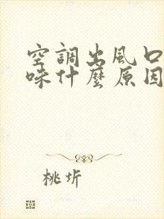 空调出风口有异味什么原因