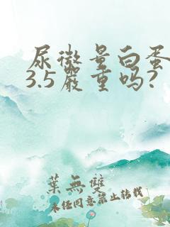 尿微量白蛋白33.5严重吗?