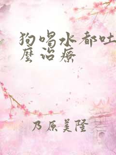 狗喝水都吐要怎么治疗