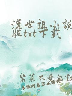 汉世祖小说精校版txt下载