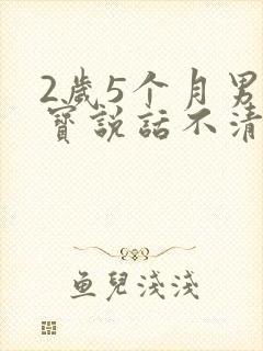 2岁5个月男宝宝说话不清楚