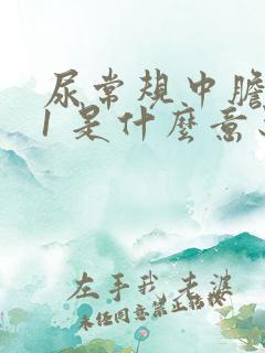 尿常规中胆红素1 是什么意思