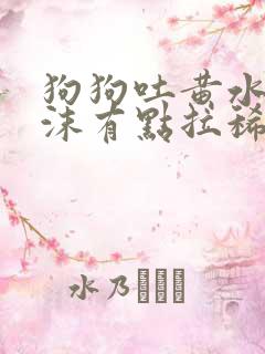 狗狗吐黄水带泡沫有点拉稀怎么办