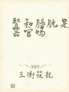 肾和膀胱是一个器官吗