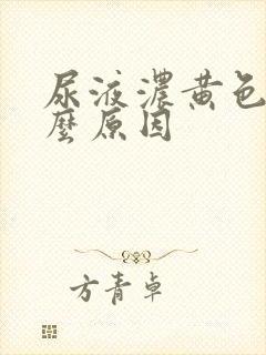 尿液浓黄色是什么原因