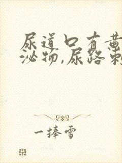 尿道口有黄色分泌物,尿路刺痛