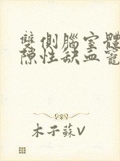 双侧脑室体旁腔隙性缺血灶