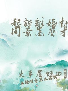 起诉离婚对方不同意怎么才能成功